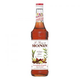 Monin Winter Spice sirup zimné korenie