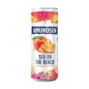 Amundsen Sex on the beach RTD plech 0.7 l